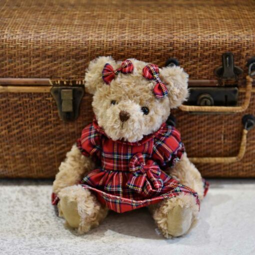 Teddy wearing her Tartan Dress