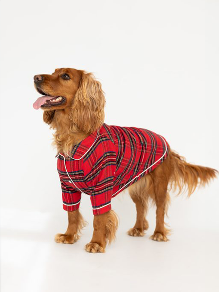 Dog Tartan Pyjamas