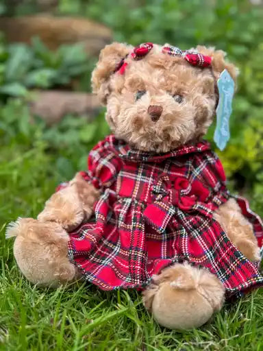 Teddy wearing her Tartan Dress